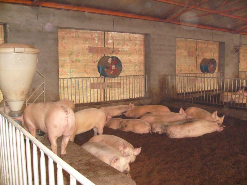 一招不慎满盘皆输，被逼当上了亿万富翁