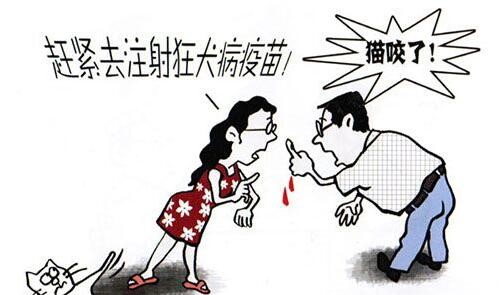 2030年消除狂犬病,消除狂犬病的国家有哪些