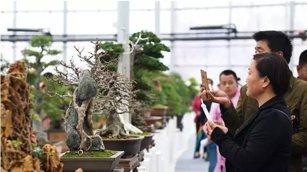 合肥市国庆期间有哪些亮点,合肥国庆七天怎么安排