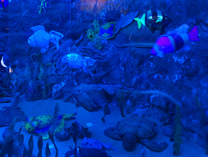 泰迪熊博物馆在韩国哪里,泰迪熊博物馆济州中文馆