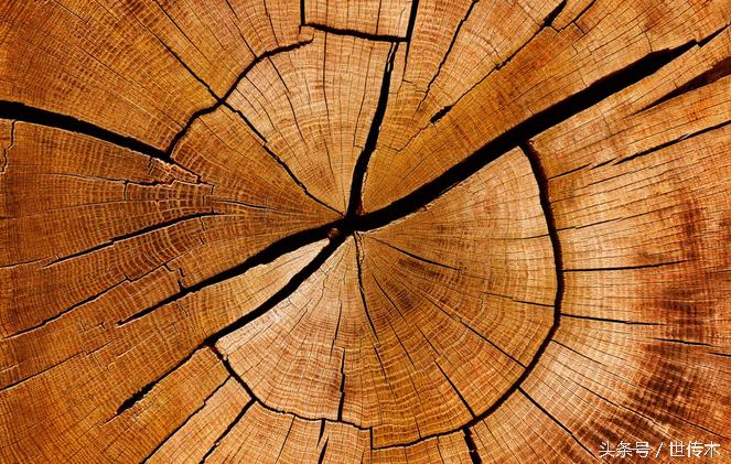 缺木的人该怎么补救,缺木的人该注意什么