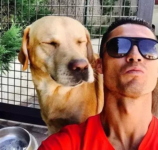 梅西狗狗,c罗和梅西家的顶级恶犬