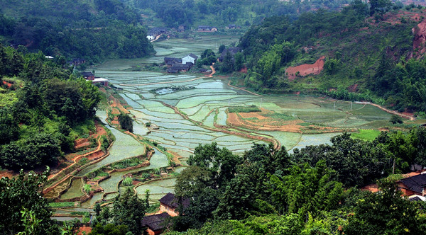 客家人聚居区,客家人聚集地赣州