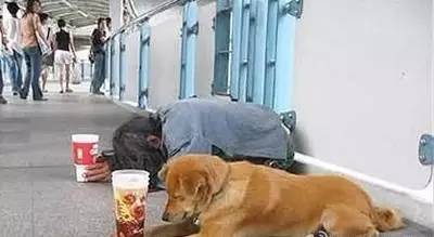 女朋友漏气客服回应,女朋友漏气了