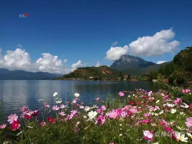 四川哪些天然温泉最好玩,四川小众温泉