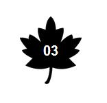 欢乐颂安迪是如何成为女强人的 (欢乐颂2安迪被撩)