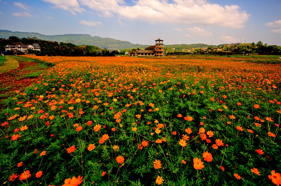 重庆免费景点一览表大全,重庆免费景点合集