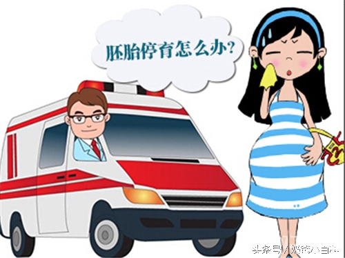 胎停后再次怀孕保胎成功案例,胎停4次成功怀孕了还能顺利吗