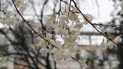 日本写给生活的情书,寄给时光的信件