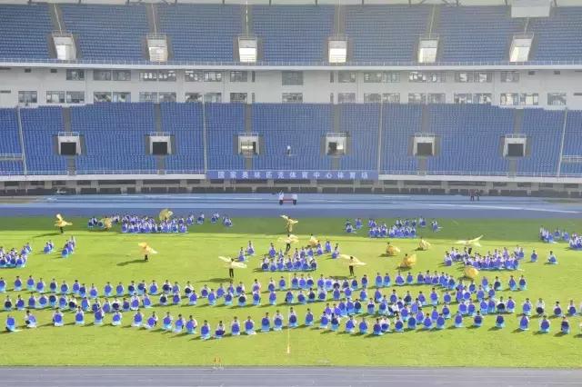 五校同心创佳绩集团谱写新篇章