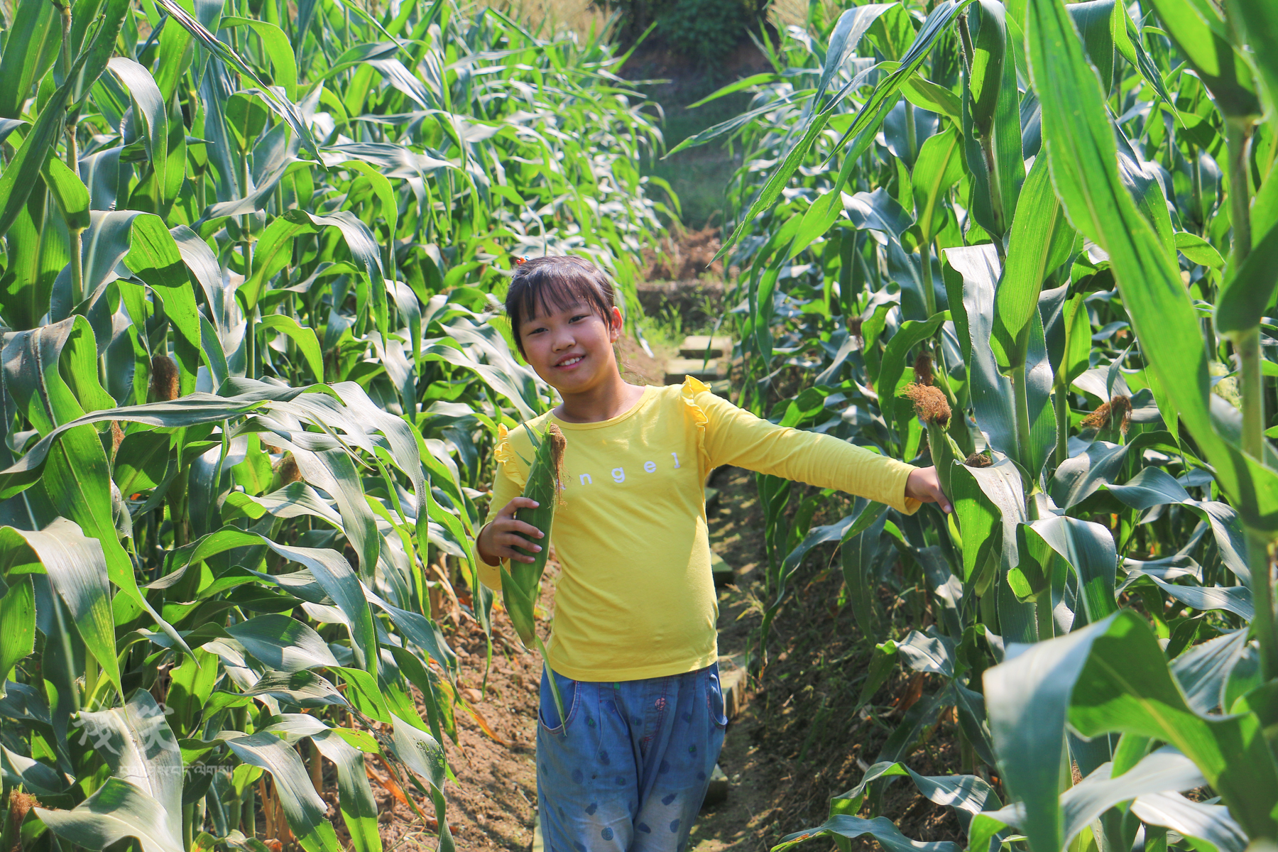 秀出浙江新高度,东阳凤凰谷天澜度假酒店儿童房