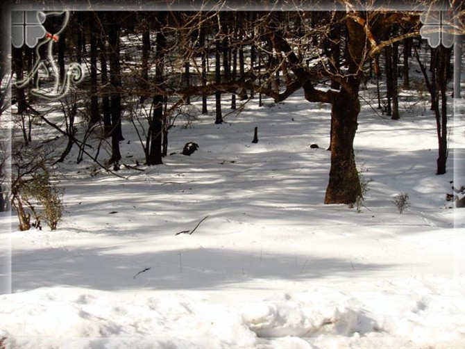 2015游云南玉龙雪山 (昆明玉龙雪山之旅)