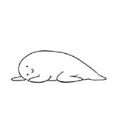 官方评论妇炎洁,妇炎洁真的杀伤力超强吗