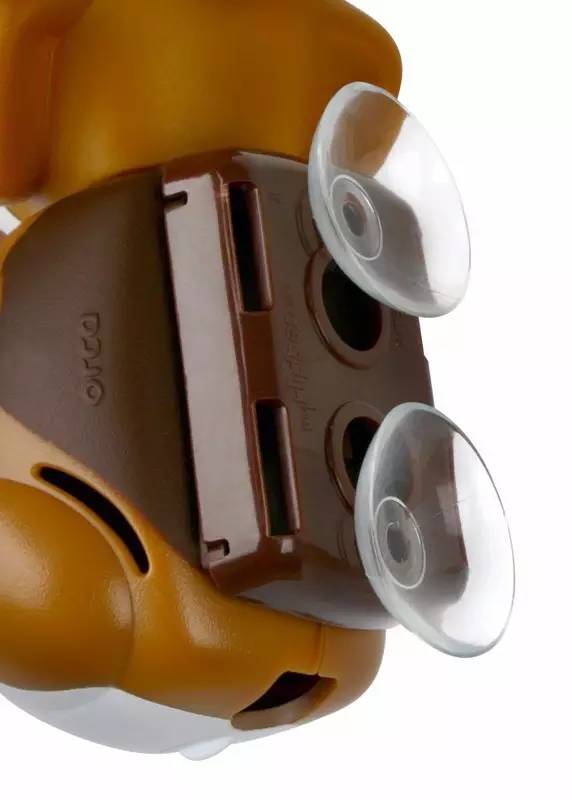 听说资深“爱牙”人士的牙刷都这样放