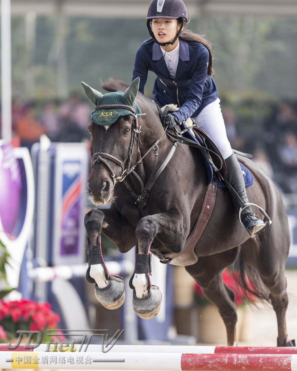 浪琴马术世界杯,浪琴马术赛程
