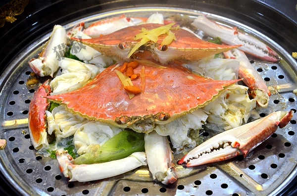 厦门曾厝埯住宿攻略,厦门旅游攻略五天4晚自由行视频