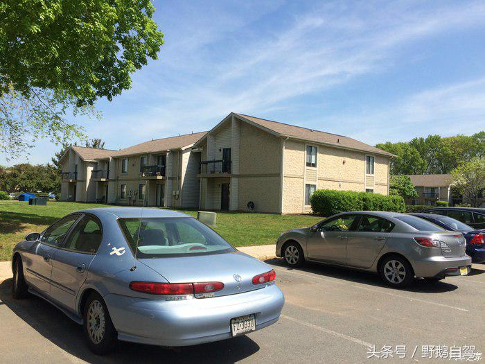 野鹅旅行,野鹅自驾无人区