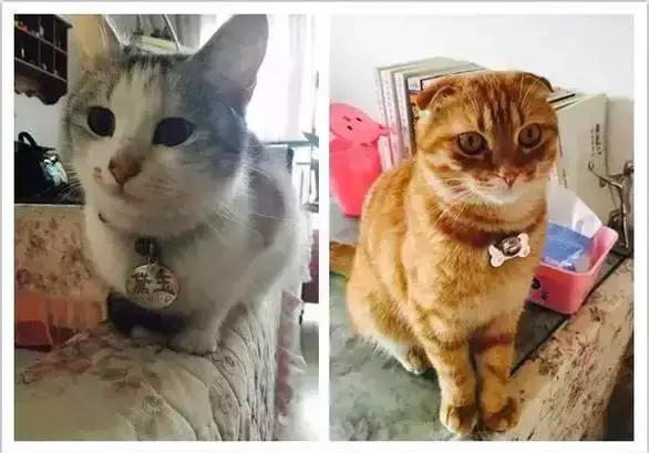 周末想要放松？不如做一次愚蠢的人类吧！