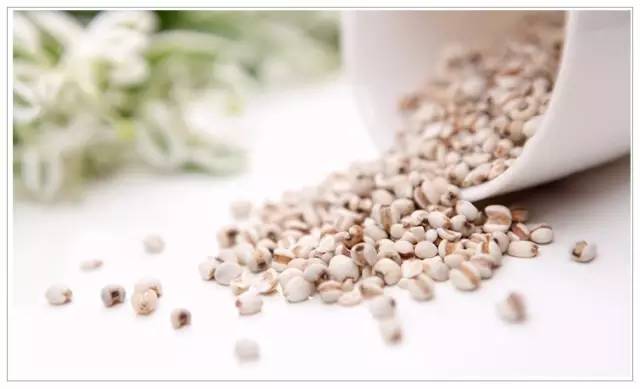 如此强大的薏米，之前是我无知了