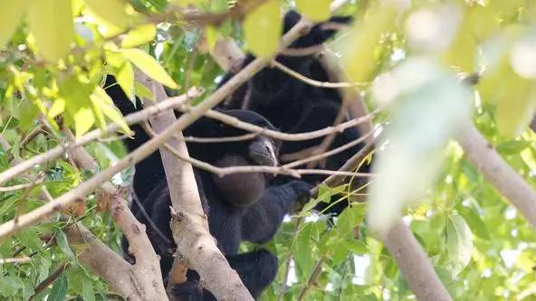 朋友圈发海边泳衣照好不好,朋友圈晒沙滩泳装