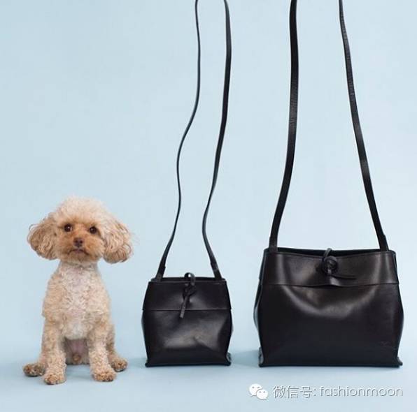 参考答案|如何拥有一只别人都没有的包