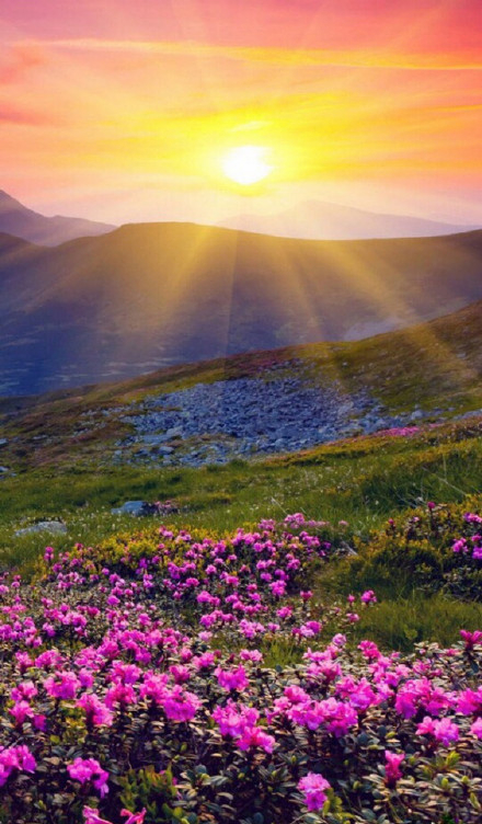 淘宝发布禁售信息怎么处理,淘宝禁令手机什么时候发布