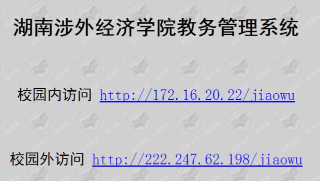 新生报名如何快速收集信息,新生信息表