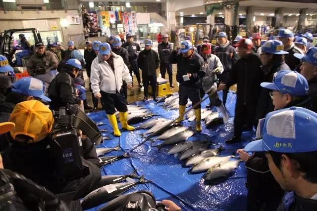 东京筑地市场吃货攻略,筑地日本料理马尼拉