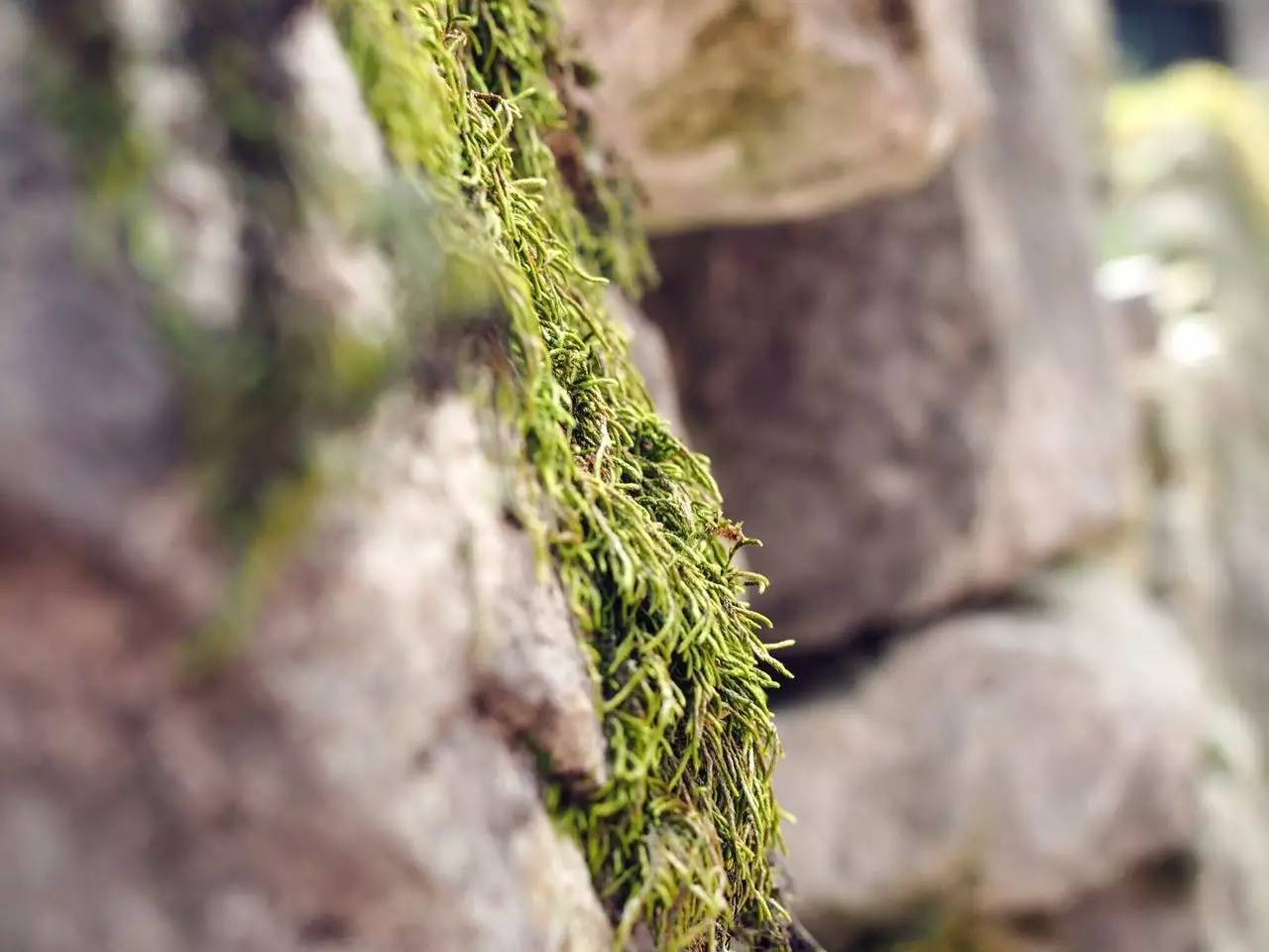 册亨布依族戏,册亨布依戏图片