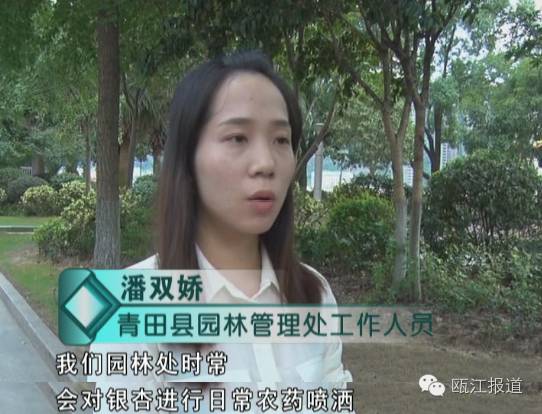 银杏药片对高血压有效吗,银杏叶制剂对高血压的作用