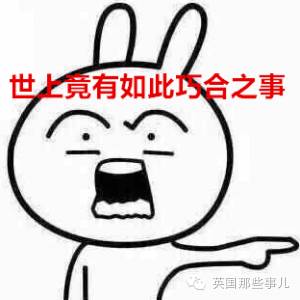 朋友的一句玩笑，这个法国哥们开始觉得自己本该当上英国国王..