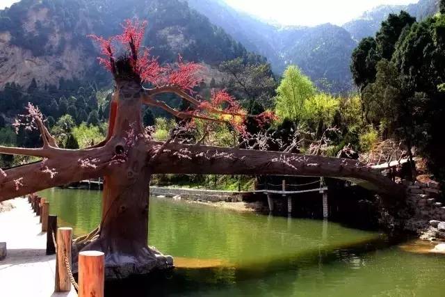 金秋国庆假期旅游,国庆假期宝鸡游玩攻略