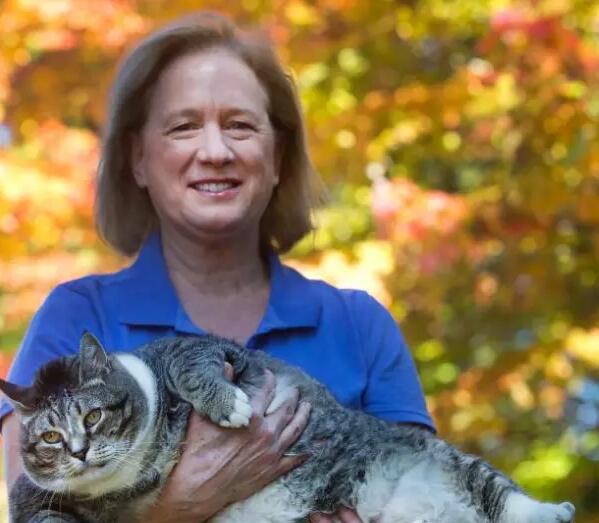 国庆每日晨读,晨读英语美文新年快乐