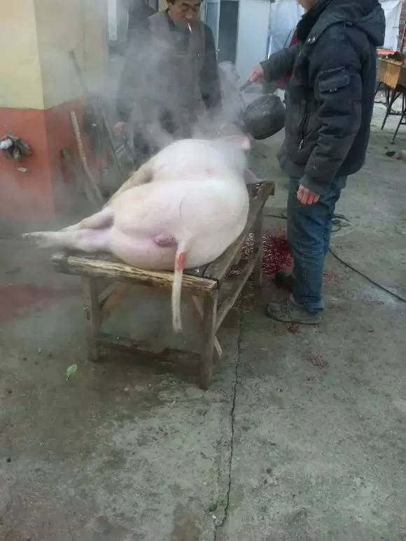 何不食肉糜什么时候说,何不食肉糜是哪个皇帝说不出来的