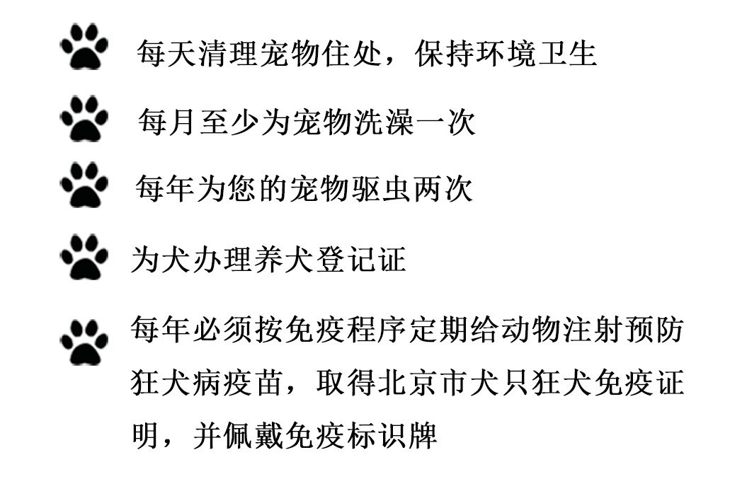 文明养犬的经典语句,文明养犬该怎么做
