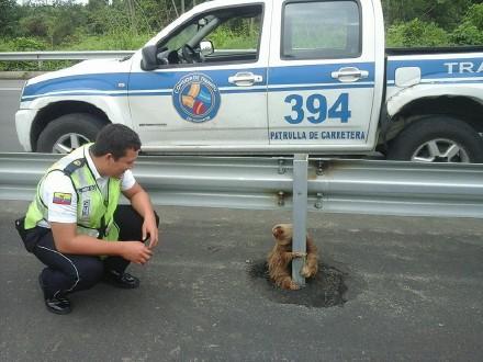 今天还是一如既往的冷！每日轻松一刻1月24日周日版