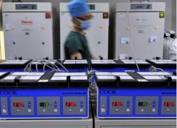 胚胎发育成熟多久可以移植,胚胎移植发展史