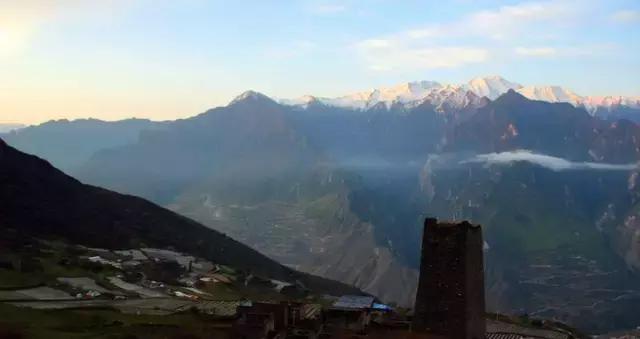 奇葩牧场|不养牛不养羊,居然养这个?