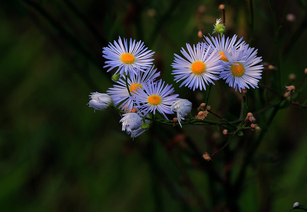我写一首诗完美地告别九月，打开十月的那扇门
