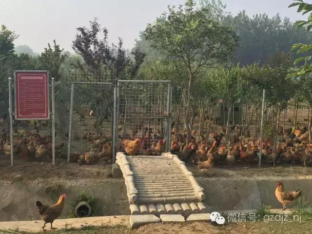 涟水有多美？涟水的美，岂是一句两句能够解释清楚的？