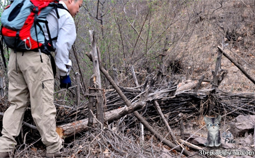 怀柔的北京生活,野性内蒙古