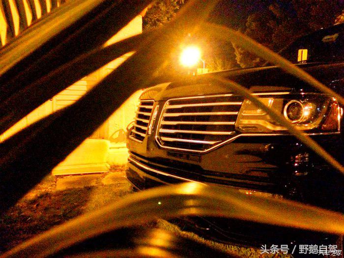 野鹅旅行,野鹅自驾无人区