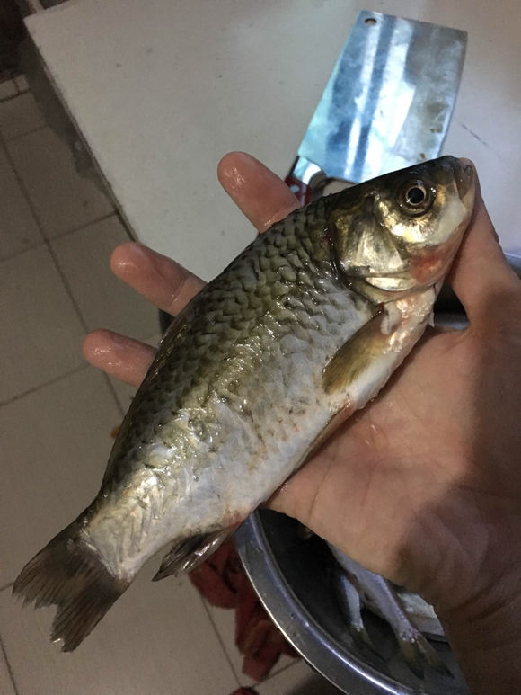 为什么野钓更舒服,为什么野钓要钓底