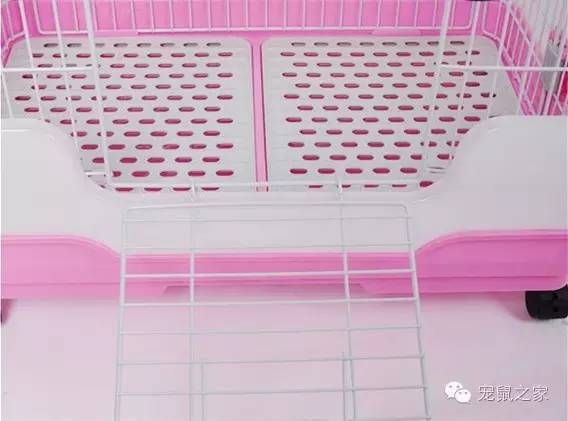 豚鼠各类饲养装备优缺点汇总之上篇