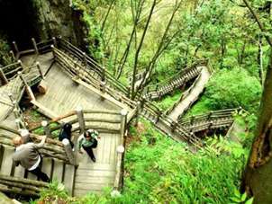 重庆各个景点门票各是多少,重庆十大景点门票价格多少钱啊