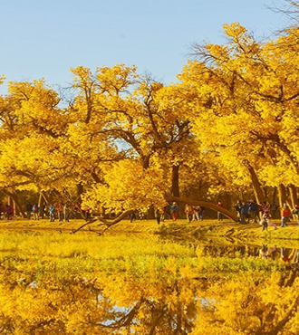 额济纳旗胡杨林旅游攻略住宿,额济纳旗胡杨林民宿住宿