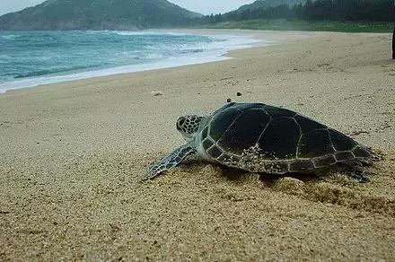 惠州周边自驾游推荐,广东惠州南昆山旅游攻略自驾游