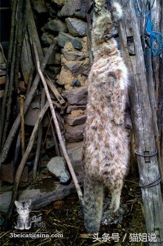 怀柔的北京生活,野性内蒙古