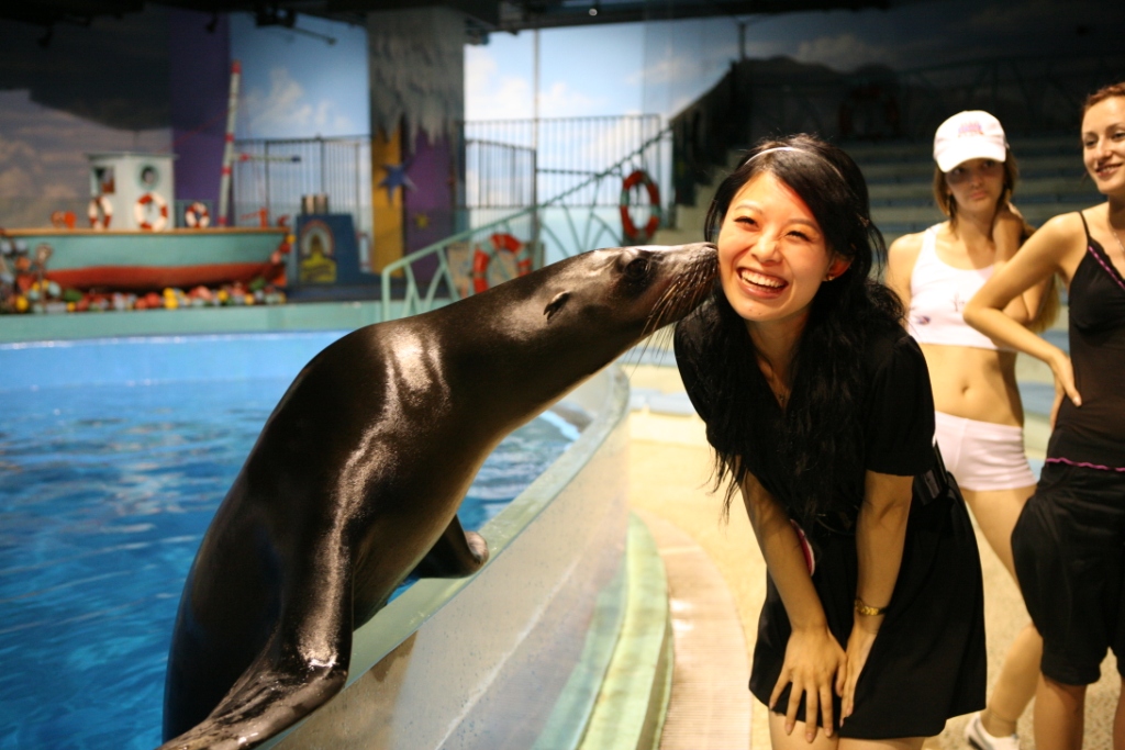 十一小长假,哈尔滨极地馆也是一个很不错的选择