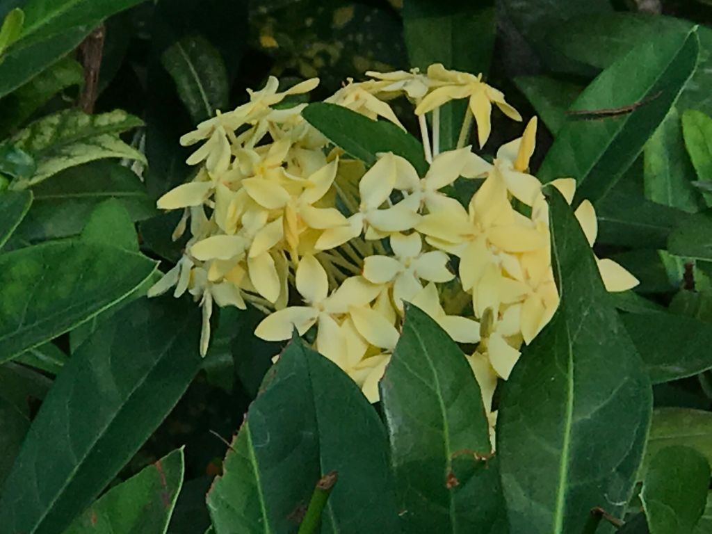 iphone7plus详细评测,苹果7plus测评还值得购买吗